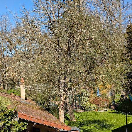 La Maison D'A Cote Saint-Amand-en-Puisaye Zewnętrze zdjęcie