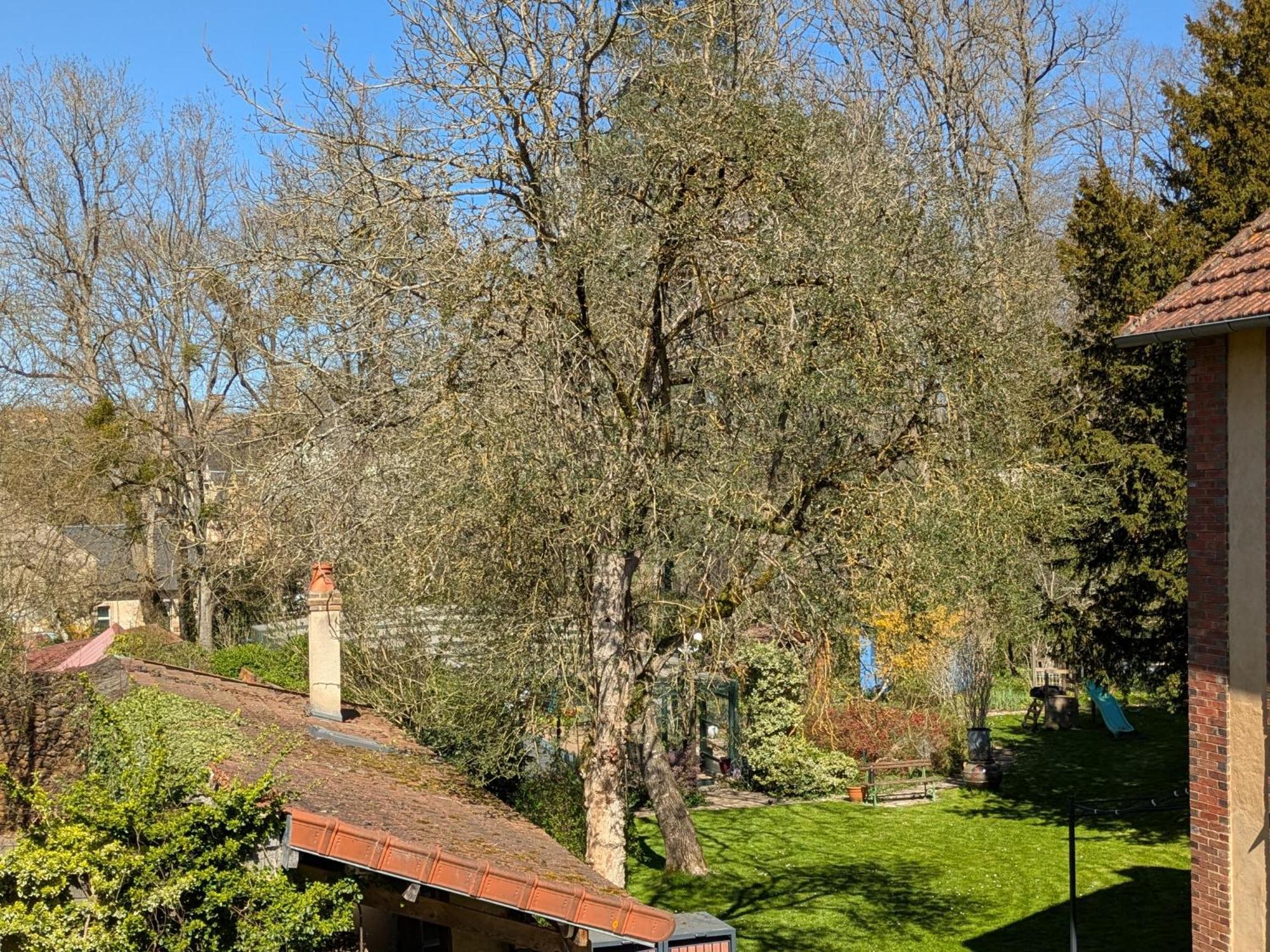 La Maison D'A Cote Saint-Amand-en-Puisaye Zewnętrze zdjęcie