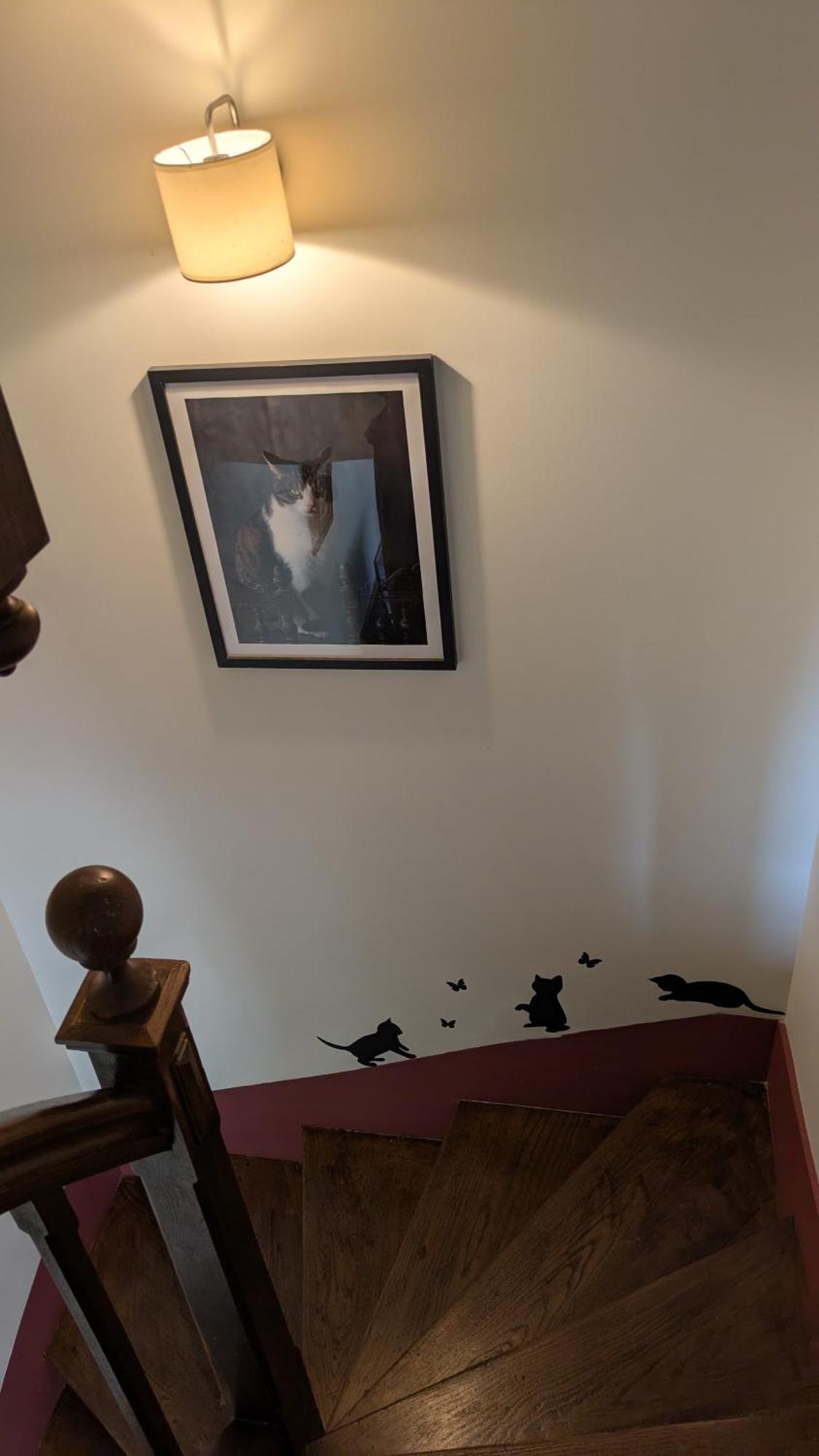 La Maison D'A Cote Saint-Amand-en-Puisaye Zewnętrze zdjęcie