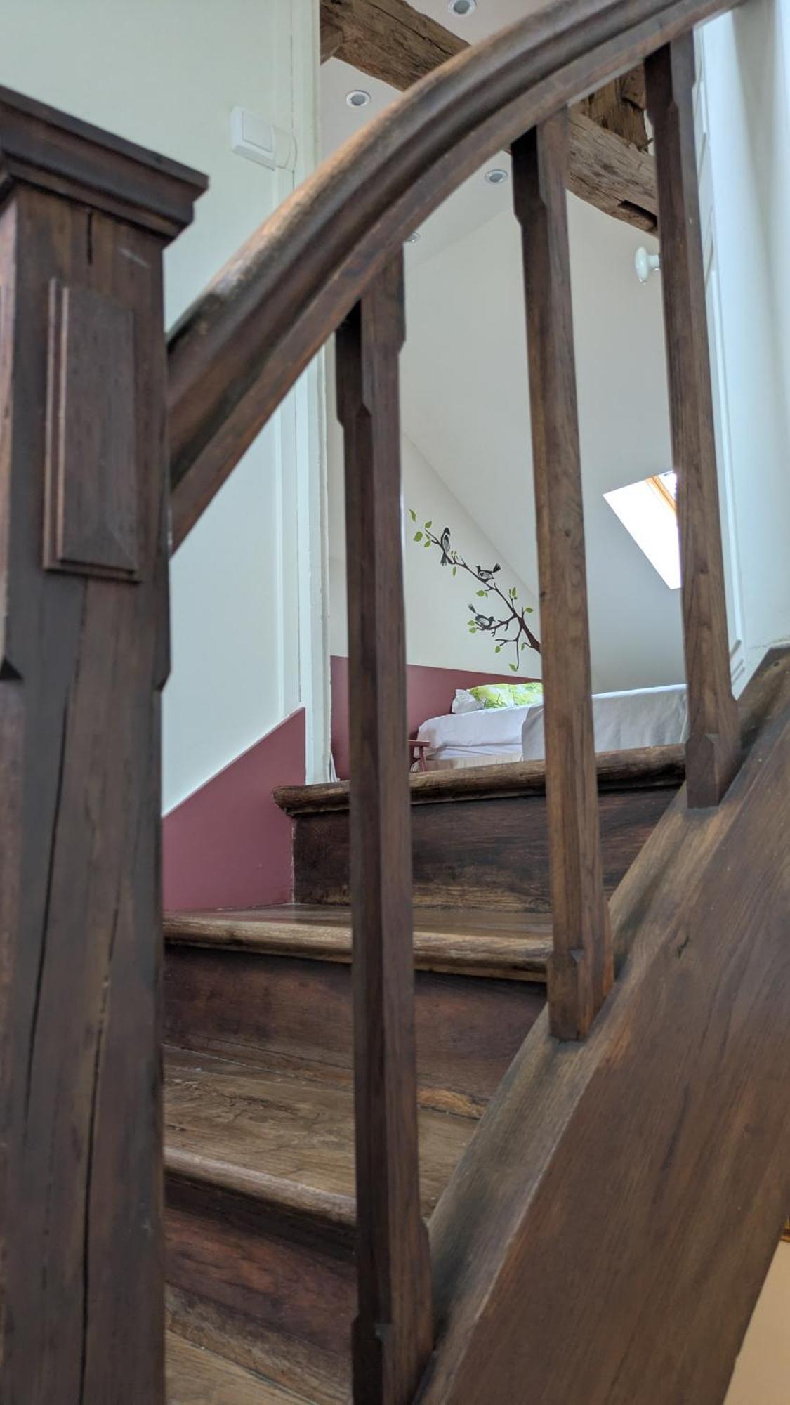 La Maison D'A Cote Saint-Amand-en-Puisaye Zewnętrze zdjęcie